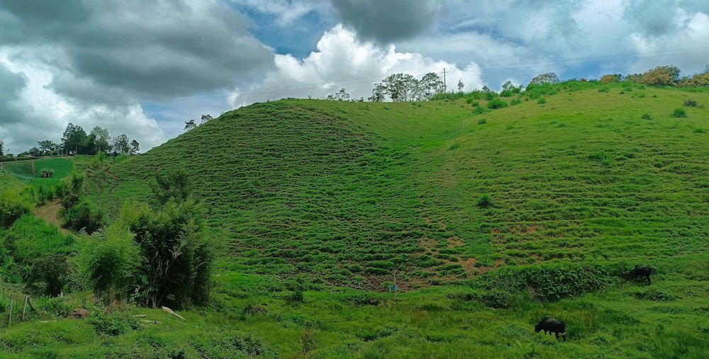 Paisaje campestre (foto de referencia)