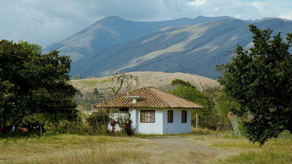 Paisaje campestre (foto de referencia)