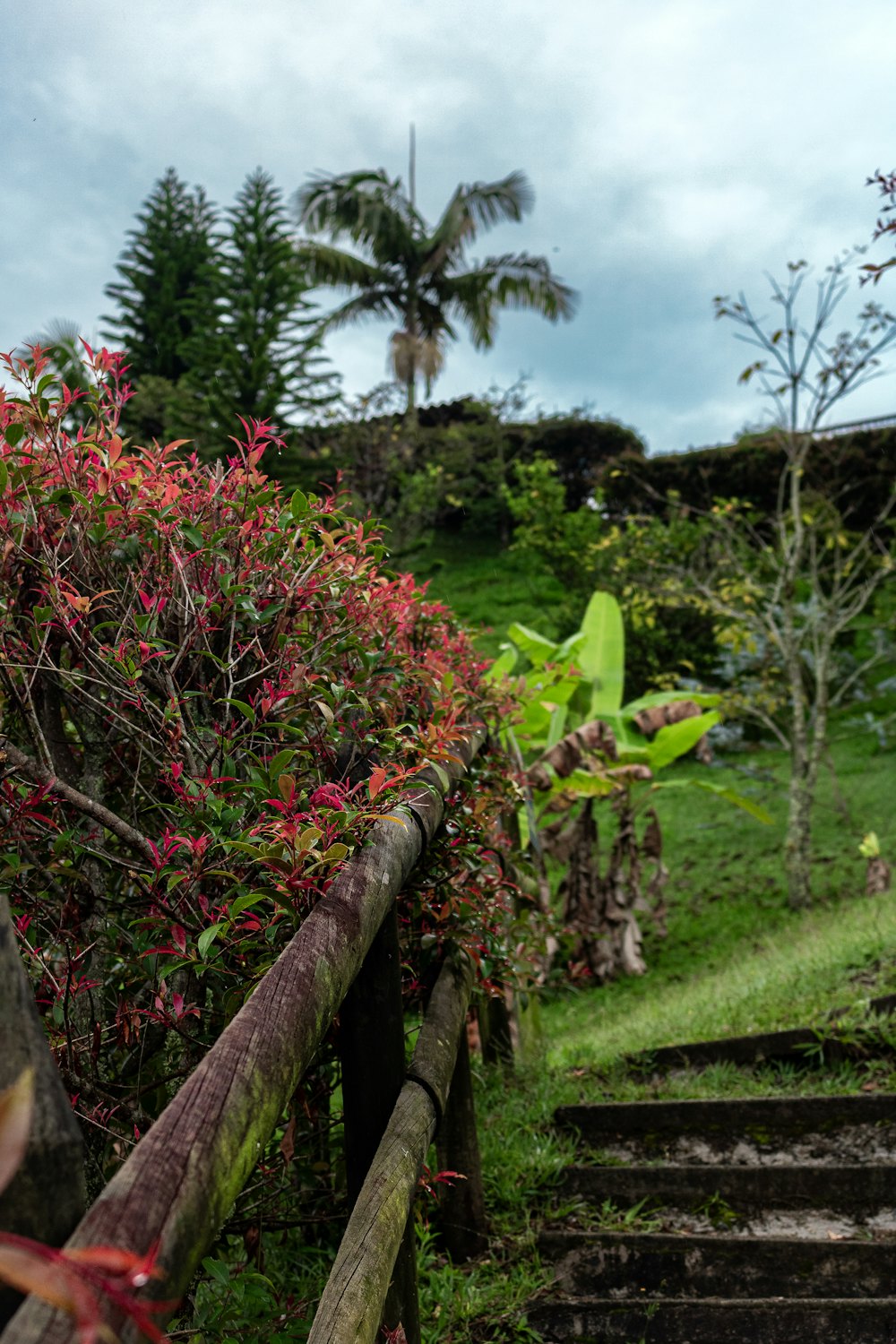 Paisaje campestre (foto de referencia)